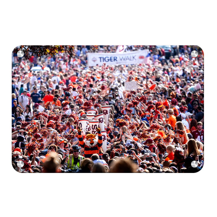 c8fbe463505b25d85a7911c73d3aa818.png