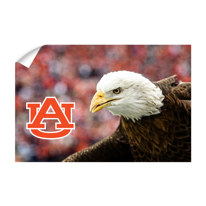 ce83eadac1d247e82e6a41d6fcfe09b7.png