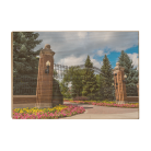 d6214d89c3545b69913bb80ce7098939.png