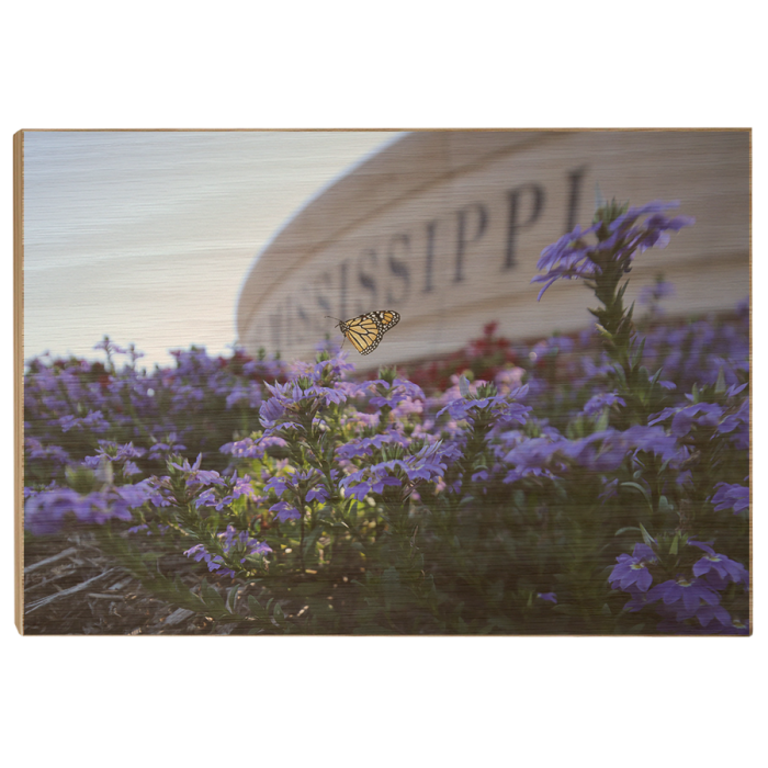 e5713650cfb2431137a8b9ddaf4fdd6c.png