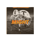 e581c3d5852ed815c741a8b11c5daa14.png