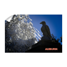 f25577ac6dcf8c8d837b6aadde52f3c1.png