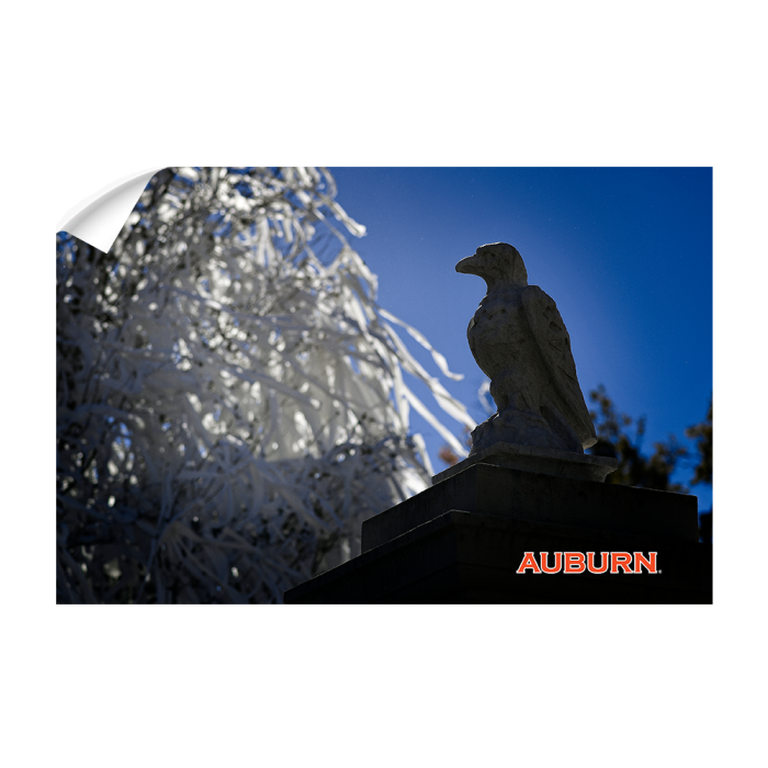f25577ac6dcf8c8d837b6aadde52f3c1.png