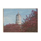 f9efe5205f8f27d0064ca780870ece0c.png