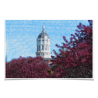 fb3188250a1fc2055c427ffef5cbd177.png