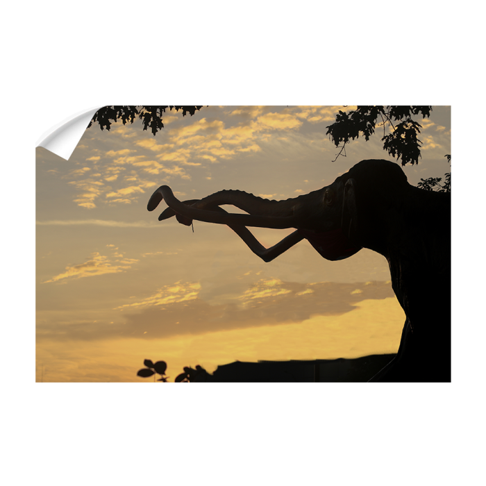 fdb90e520435e7f8276a19455d85a5f9.png