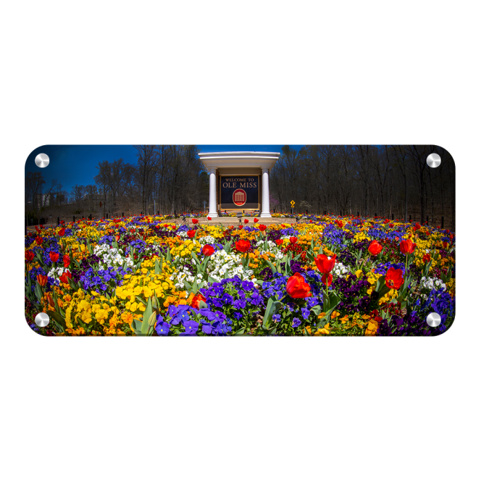 23b1dcc546bf331fb662e6deb47f6b14.png