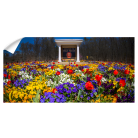 2fd4593b18454153215eeeddcda5c8f2.png