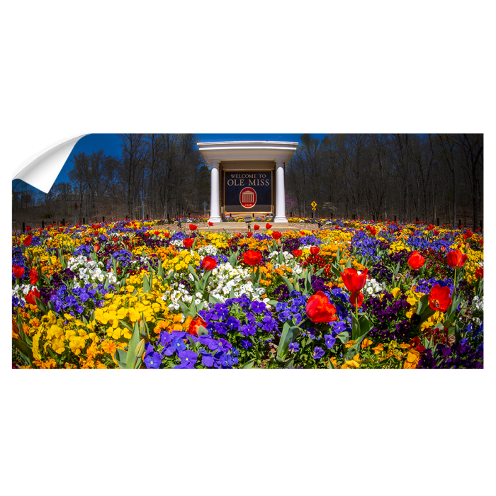 2fd4593b18454153215eeeddcda5c8f2.png