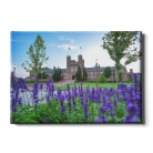 86a11bdf2232312a1e05e48670edb313.png