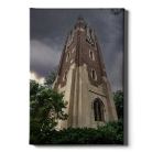 96e3c5e081b73c393574df8052018f95.png