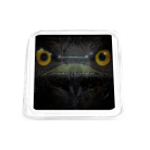 c8ca5180d0fef719722edca4d033857f.png