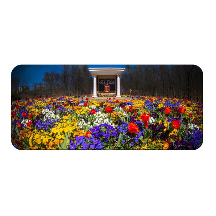 ca684a5aa06360ff407bc1ad7a9b1b8c.png